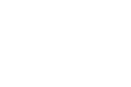 Skin and Out Logo